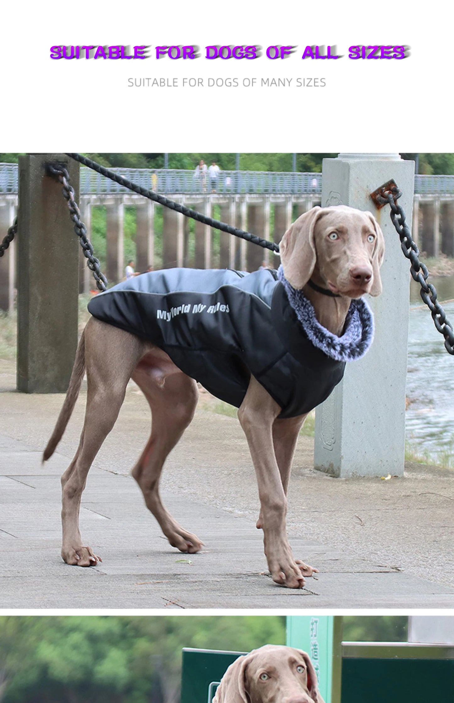 Waterproof Large Dog Clothes Winter Dog Coat With Harness Furry Collar Warm Pet Clothing Big Dog Jacket Labrador Bulldog Costume