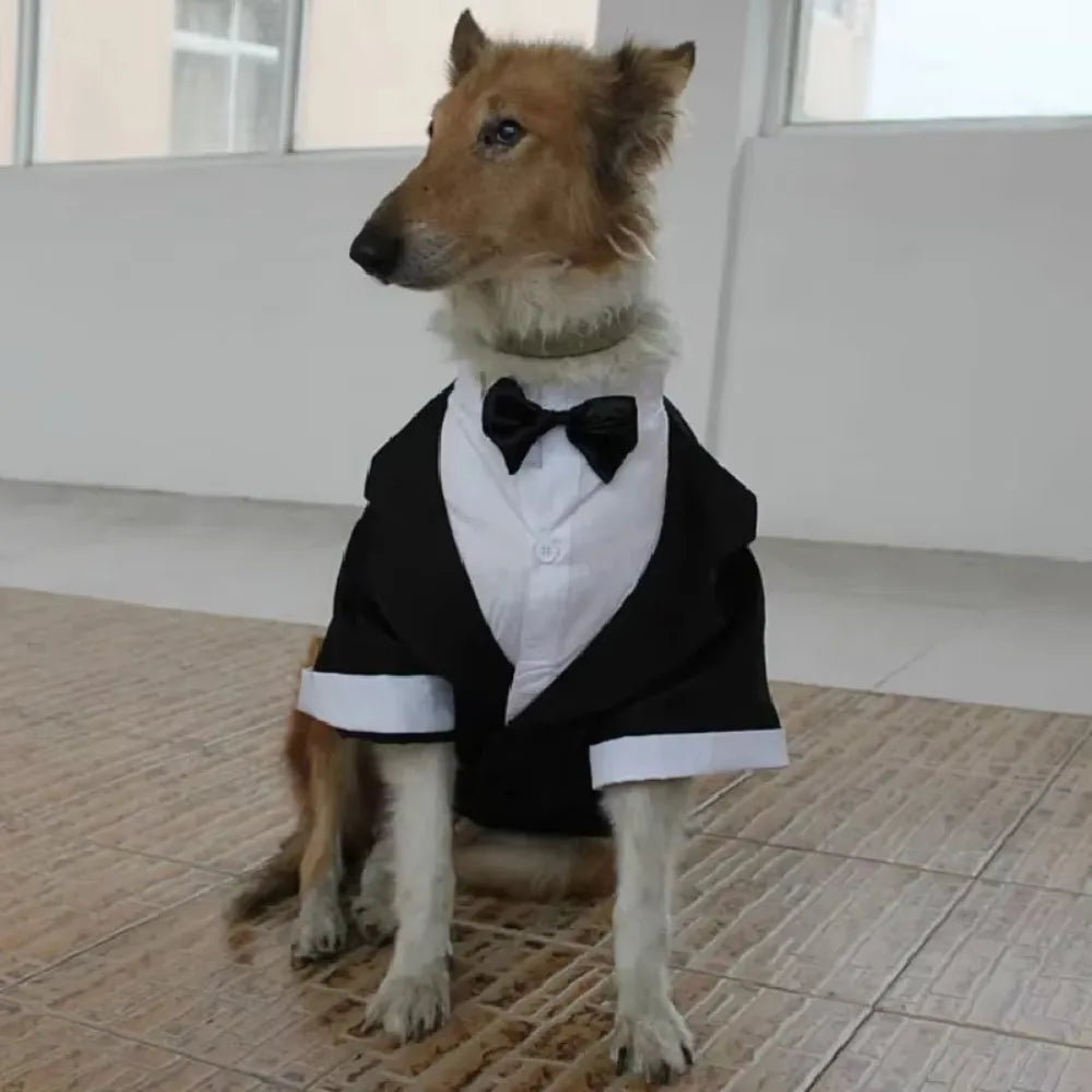 Halloween Dog Costume Pet Formal Tuxedo Dress & Wedding Suit Big Dog Clothes with Black Bow Cosplay Large Pet Clothing for Party