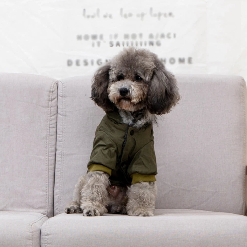 Winter Warm Puppy Jacket, Thicken Hoodie Dog Coat for Small Medium Dogs Chihuahua Yorkies, Cute Pet Clothing