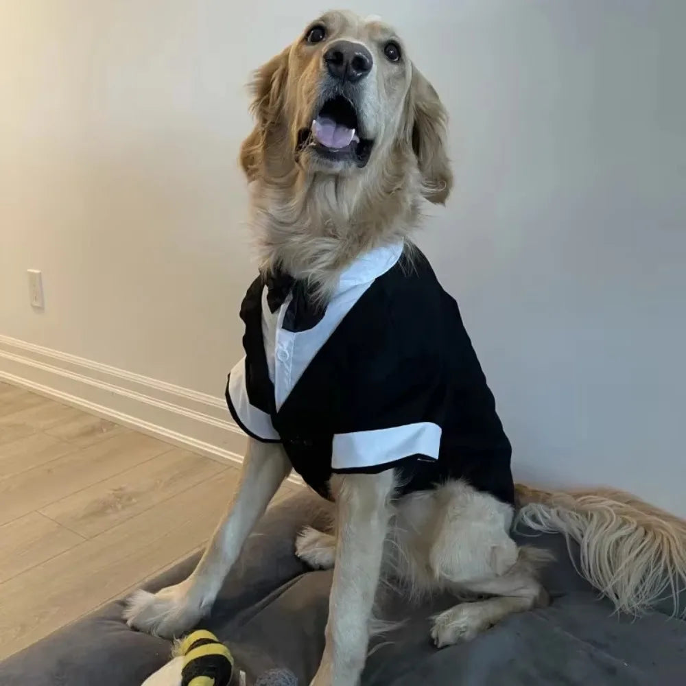 Halloween Dog Costume Pet Formal Tuxedo Dress & Wedding Suit Big Dog Clothes with Black Bow Cosplay Large Pet Clothing for Party