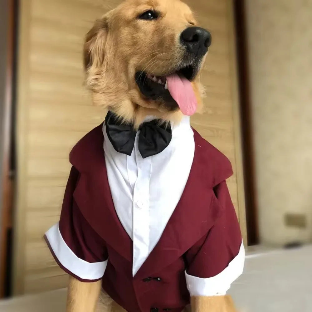 Halloween Dog Costume Pet Formal Tuxedo Dress & Wedding Suit Big Dog Clothes with Black Bow Cosplay Large Pet Clothing for Party