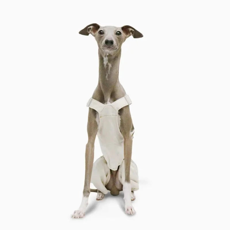 Pet Clothing Adjustable Blue Thin Denim Carrier Pants for Mid Dogs 4-legged Spring White Coat for Italy Greyhound Wellingtonian