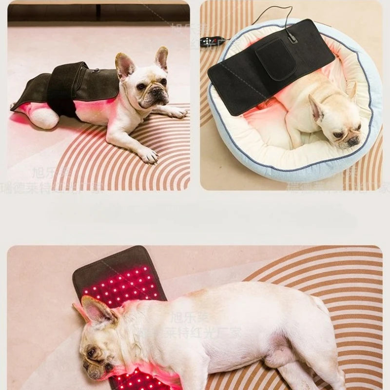 Pet Care Home Use Infrared Red Light Therapy Belt Wrap for Dogs Cats