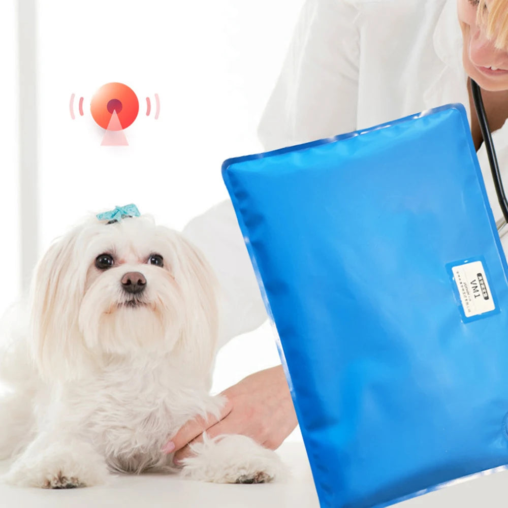 Animal Surgical Accessories Pet Vacuum Positioning Mat Small Veterinary Examination Pad Pet Care Room 100x60cm 60x40cm