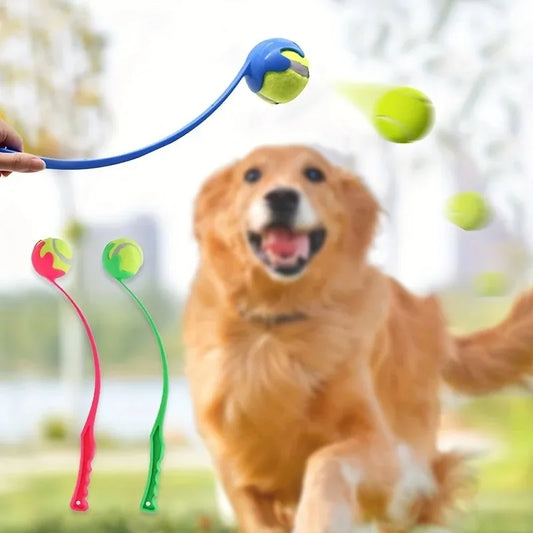 Pet Tennis Ball Launcher Set Outdoor Dog Training Toy Fetch Play Durable Ergonomic Handle Interactive Ball Picking Pet Supplies