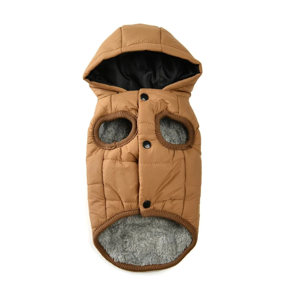 Pet Clothing Sweatshirt Dachshund Goods for Small Dogs Dog Winter Clothes Accessory Pets Accessories Soft Puppy Cute Coat Hoodie