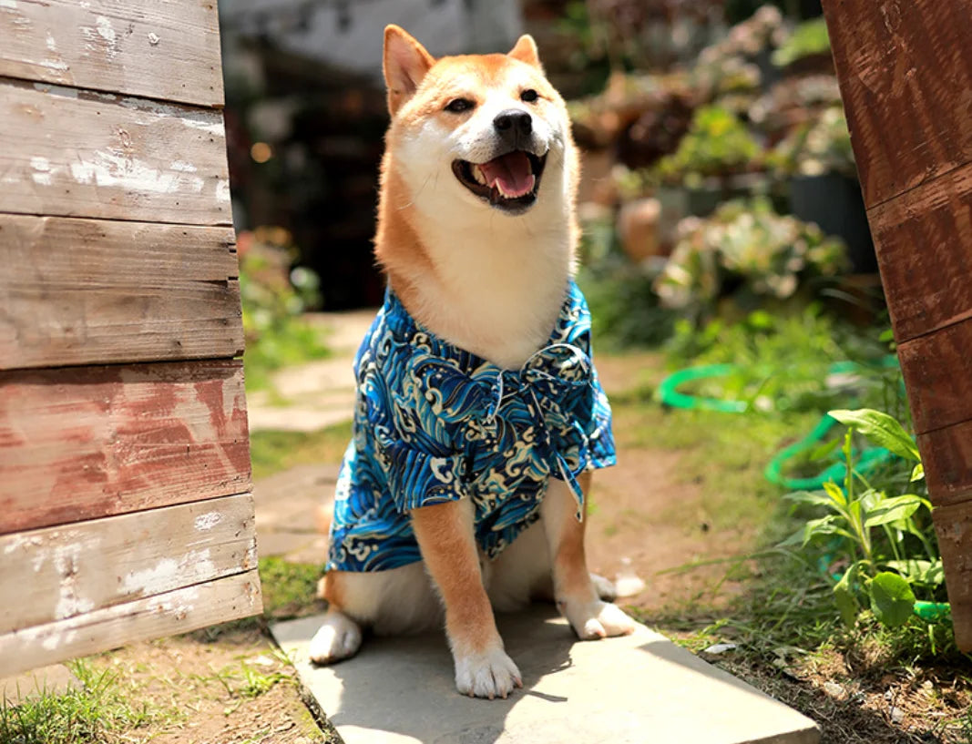 Japanese Style Pet Kimono Spring Summer Clothes for Cats And Dogs Small to Medium Size Shiba Inu Corgi Puppy Costume Outfit