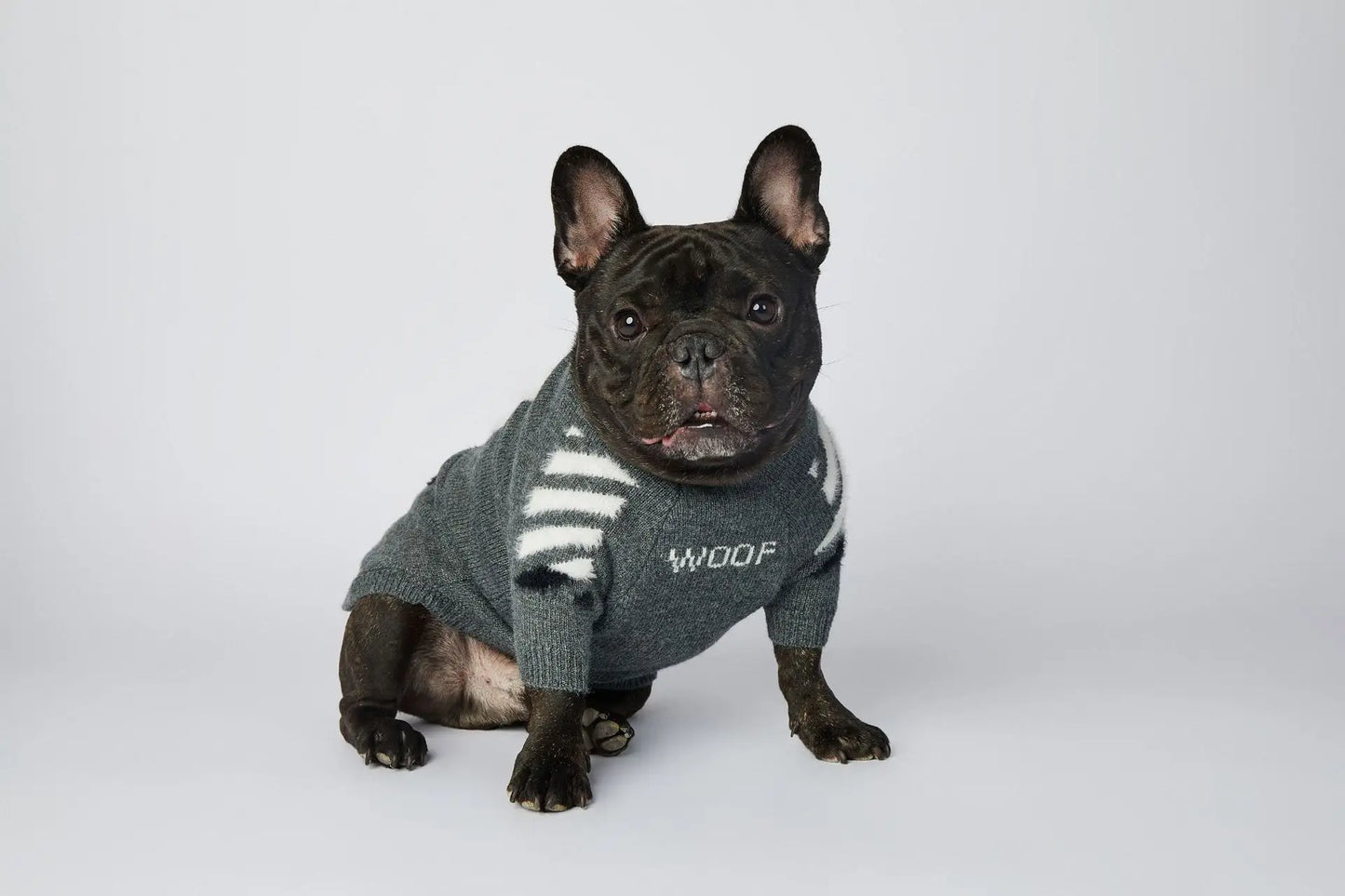 Winter Thick Soft Pet Clothing S-3XL Cotton Dog Knitwear Funny WOOF Cute Luxury French Bull Sweaters Jumpers