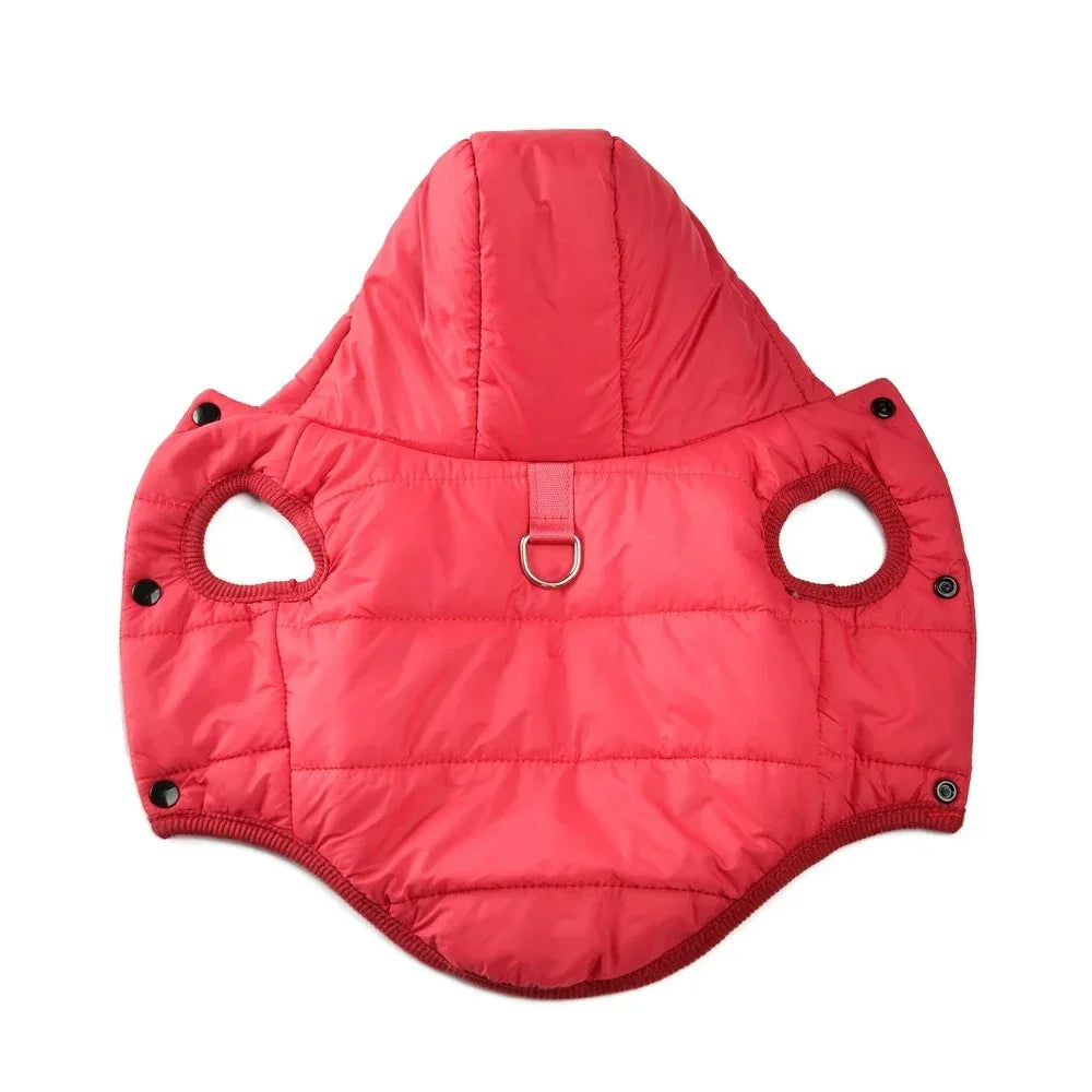 Pet Clothing Sweatshirt Dachshund Goods for Small Dogs Dog Winter Clothes Accessory Pets Accessories Soft Puppy Cute Coat Hoodie