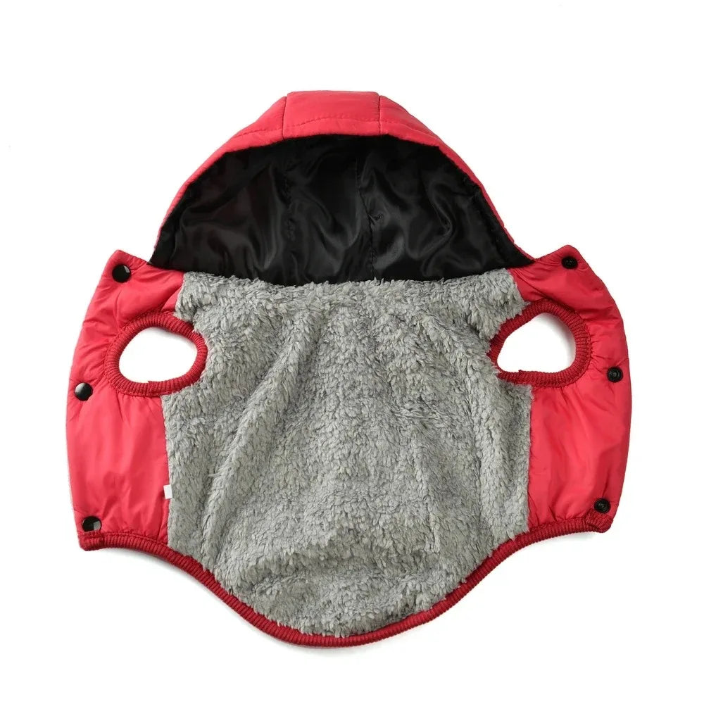 Pet Clothing Sweatshirt Dachshund Goods for Small Dogs Dog Winter Clothes Accessory Pets Accessories Soft Puppy Cute Coat Hoodie