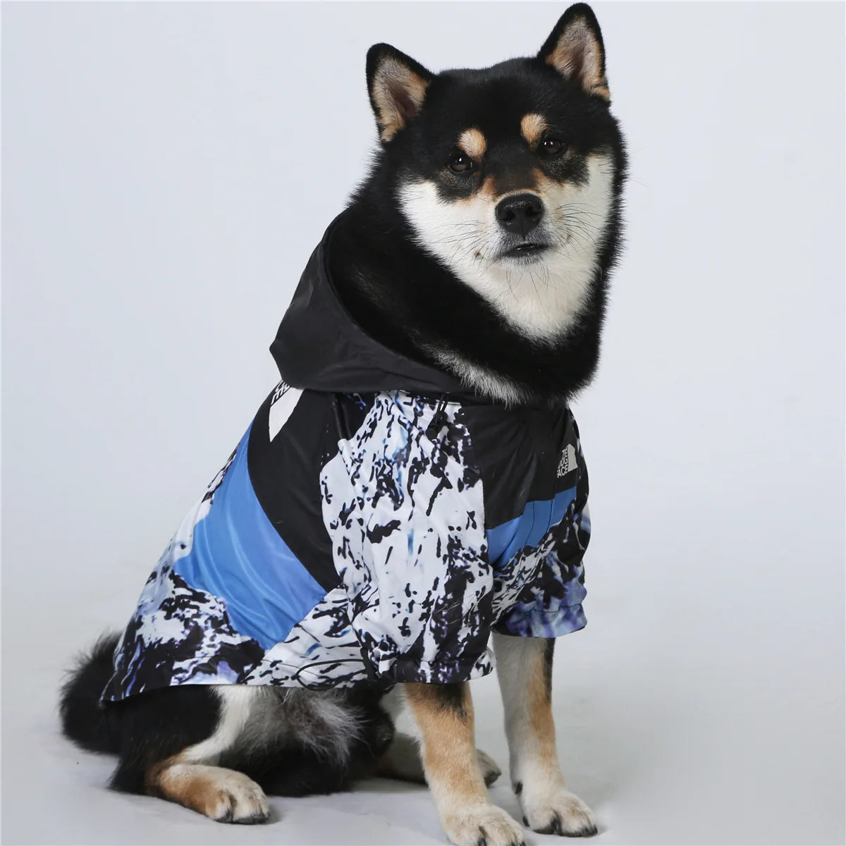 Luxury Designer Dog Clothes S-5XL Teddy French Bull Pitbull Dog Jacket Waterproof Rain Coat Pet Clothing