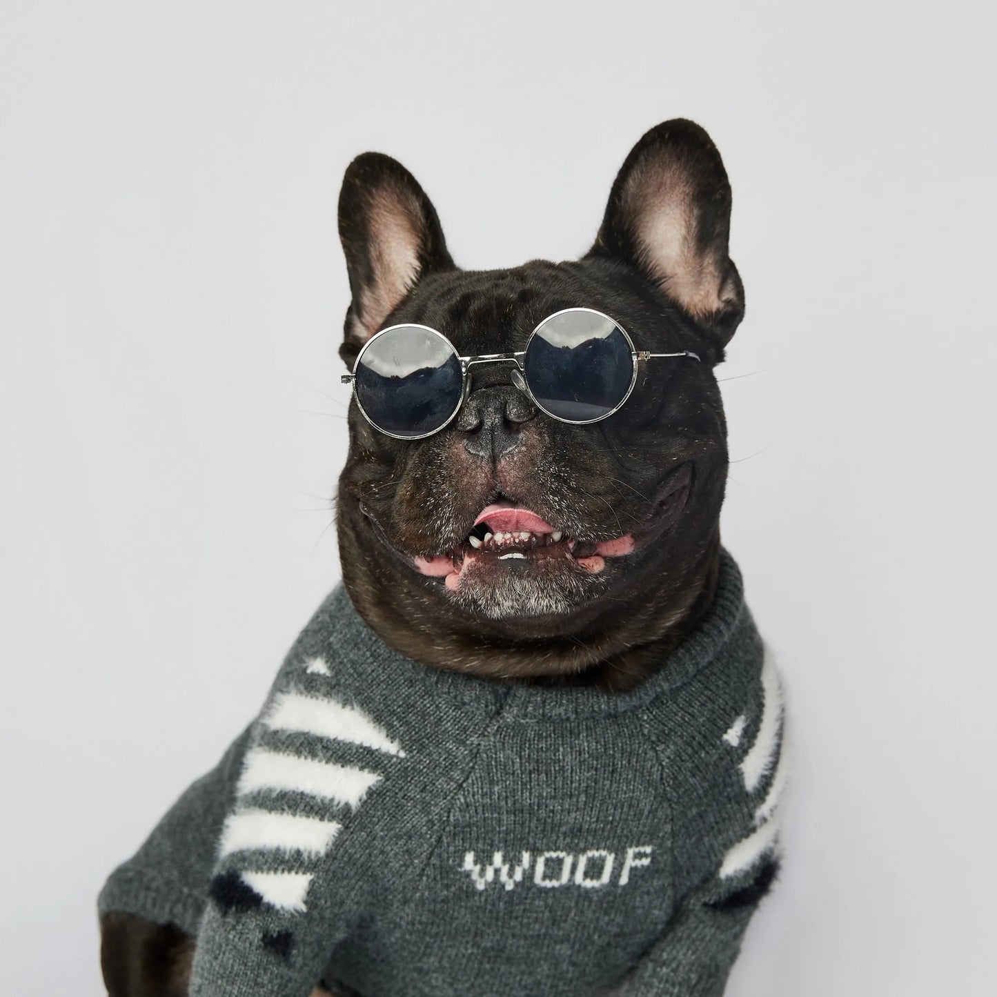 Winter Thick Soft Pet Clothing S-3XL Cotton Dog Knitwear Funny WOOF Cute Luxury French Bull Sweaters Jumpers