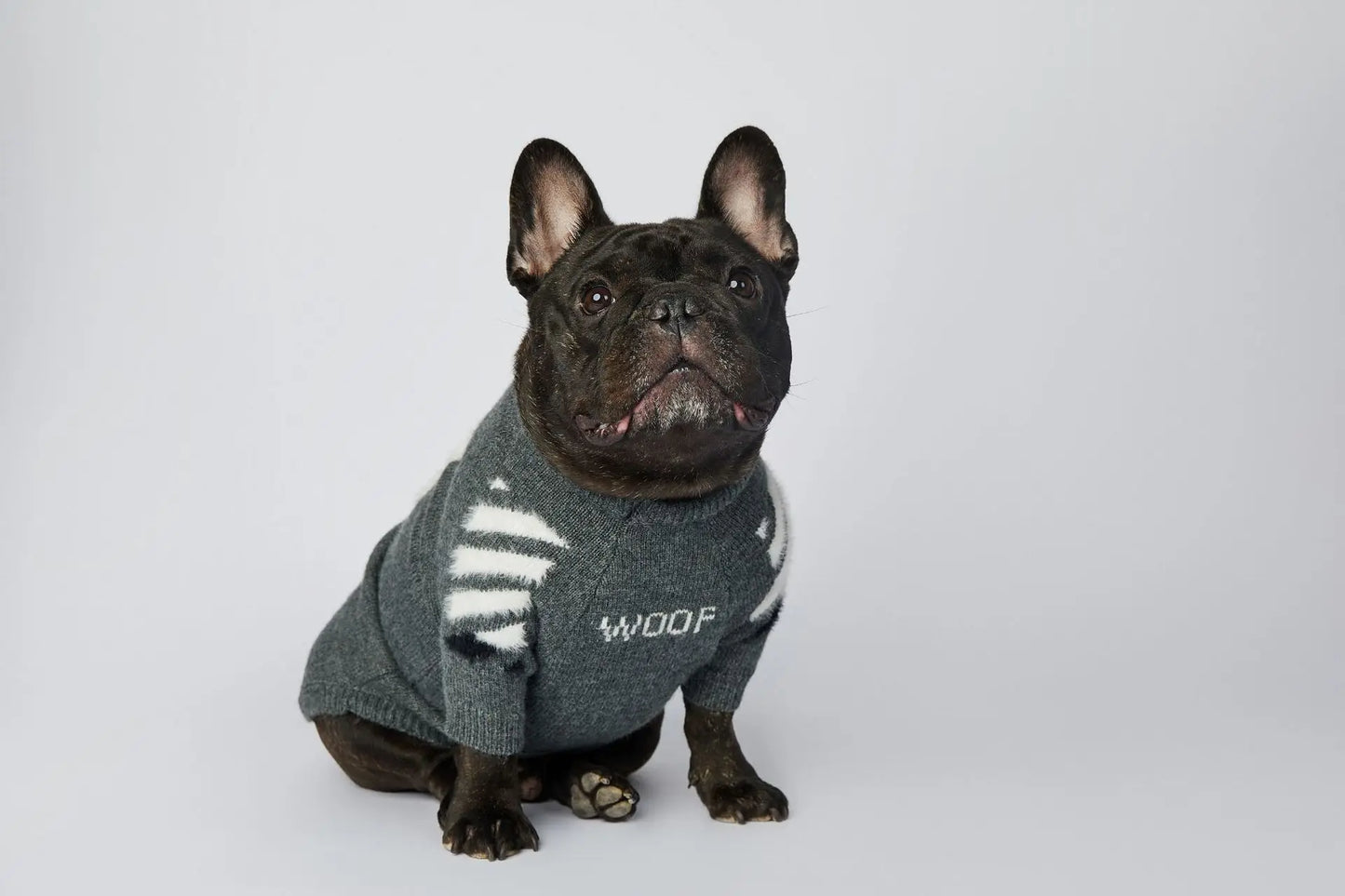 Winter Thick Soft Pet Clothing S-3XL Cotton Dog Knitwear Funny WOOF Cute Luxury French Bull Sweaters Jumpers