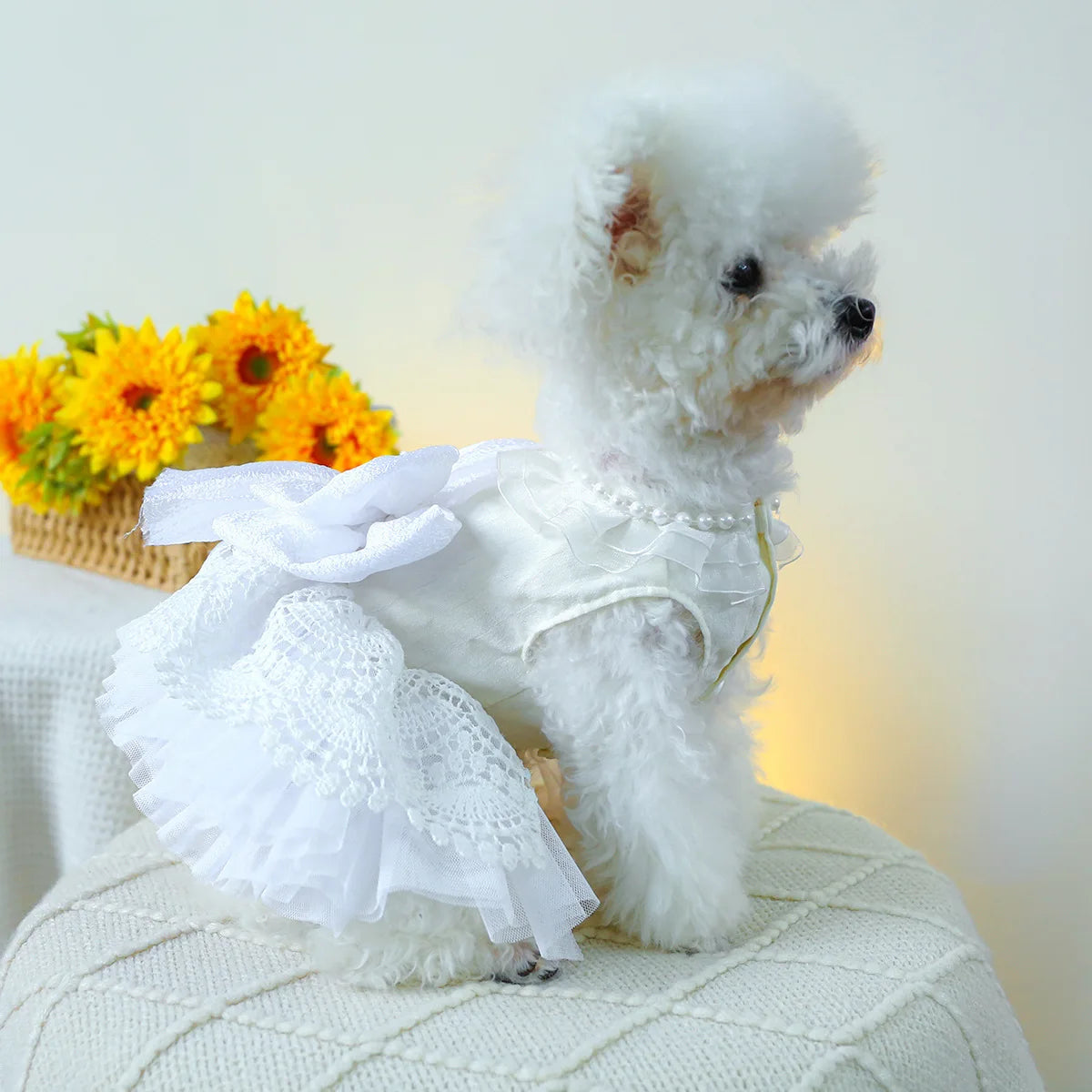 Luxury Princess Cat Wedding Dress Skirt Dog Dresses for Small Dogs Pet Clothing Costume Puppy Supplies Skirt ropa para perros