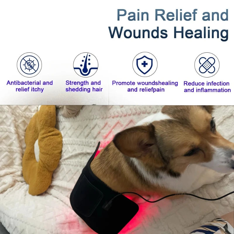 Pet Care Home Use Infrared Red Light Therapy Belt Wrap for Dogs Cats