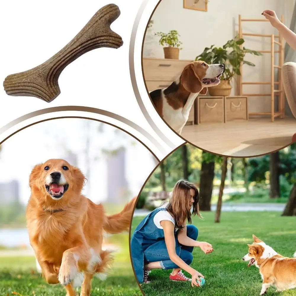 Real Wooden Deer Antlers Dog Chew Toys for Aggressive Chewers Large Dog Chewing Stick Indestructible Tough Durable Pet Toys Gift